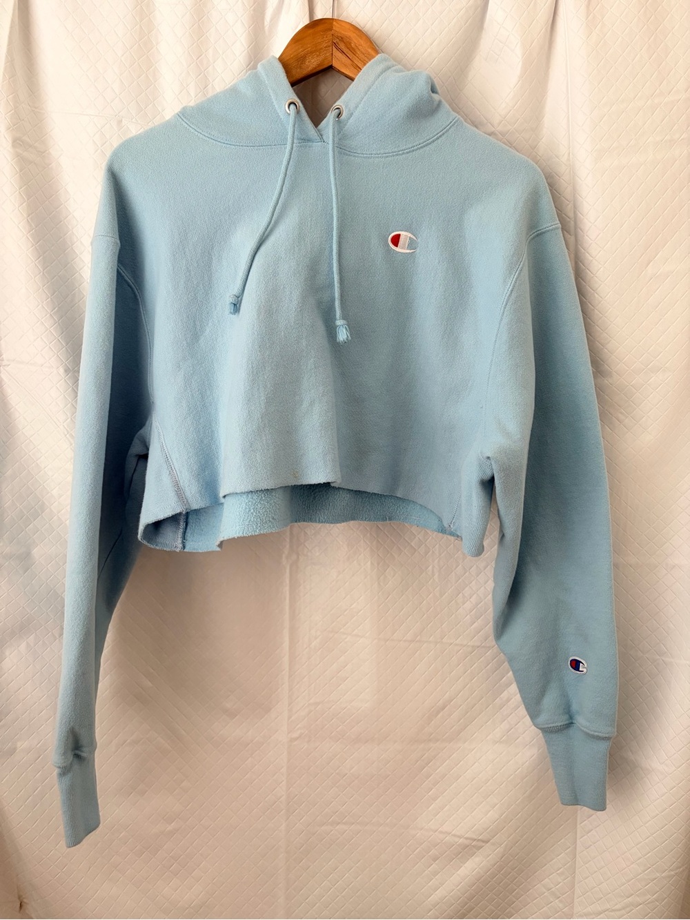 Champion Powder Blue Cropped Hoodie Sweatshirt